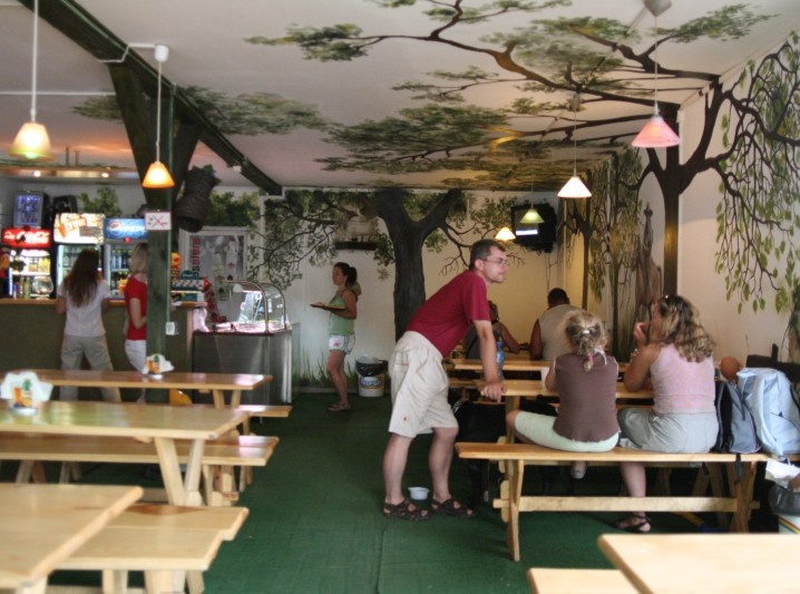Bar `Leśnicz&oacute;wka