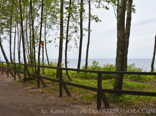 Szlak pieszy koroną klifu w Jastrzębiej G&oacute;rze