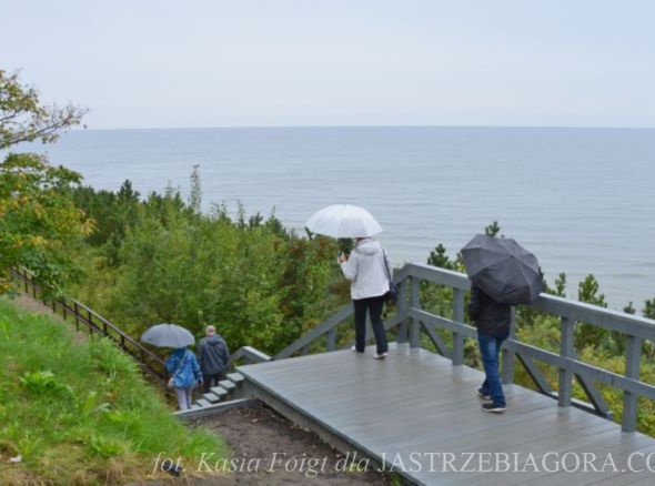 Szlak pieszy koroną klifu w Jastrzębiej G&oacute;rze